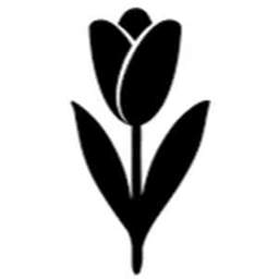 A tulip
